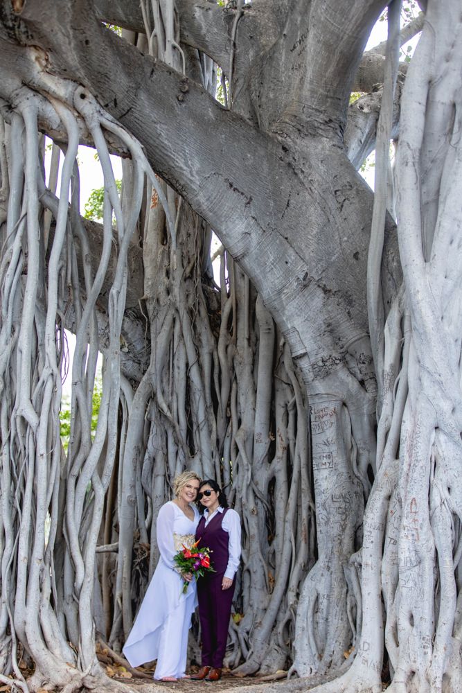 Annie and Sam dressed up under a giant banyan tree